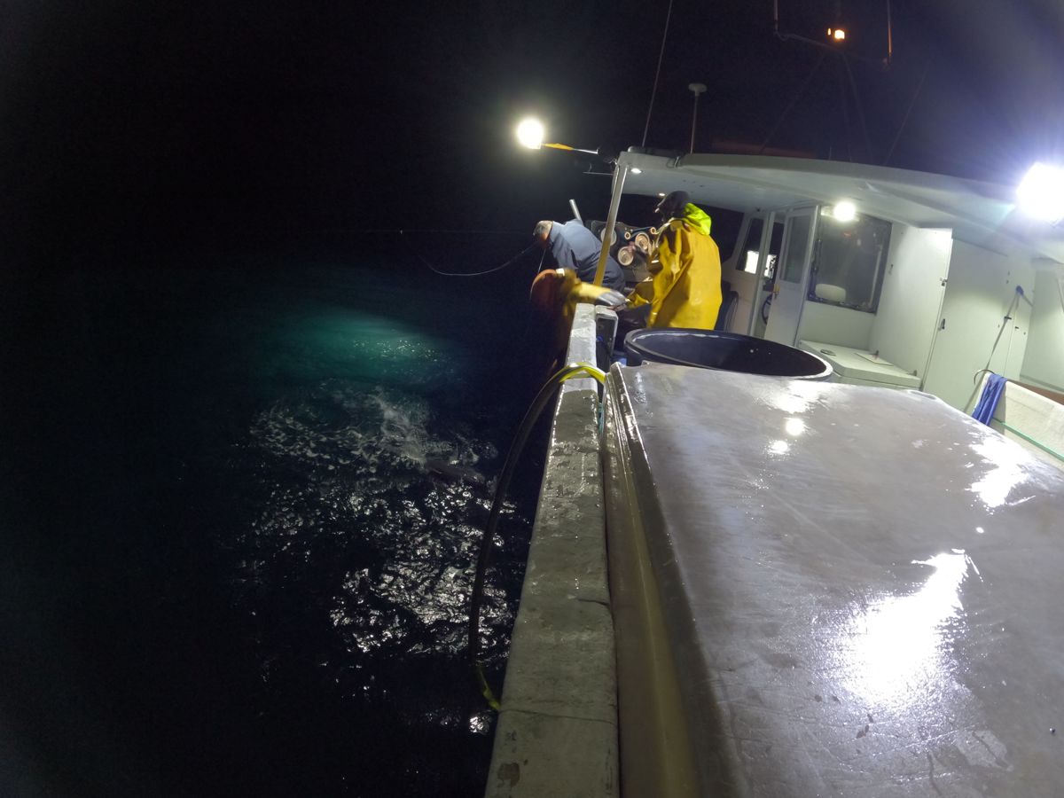Travail de nuit à bord d’un navire de pêche